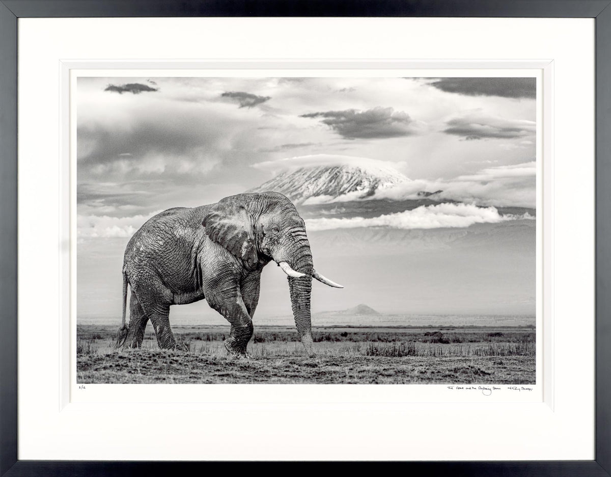 The Giant And The Gathering Storm
