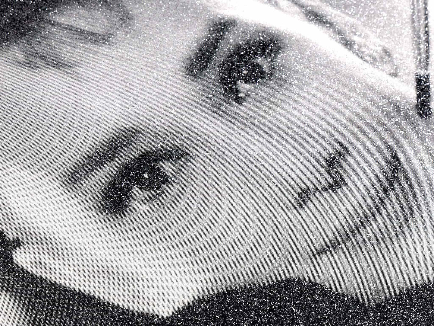 Audrey Hepburn (Black & White)