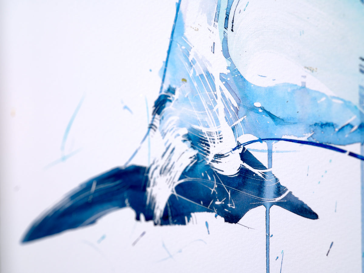 Orca