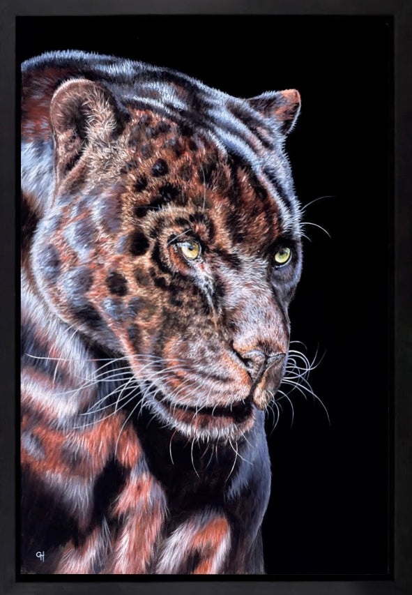 Panther Prowling