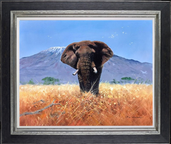 Kilimanjaro Elephant