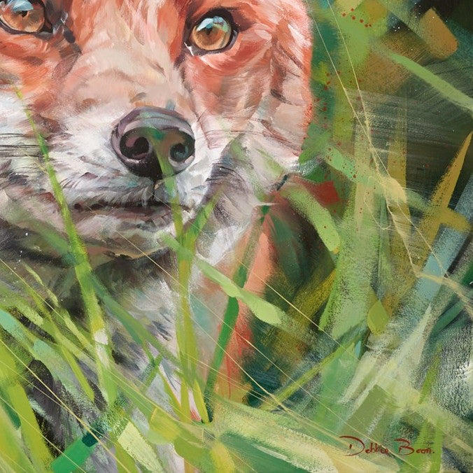 Fox In Long Grass