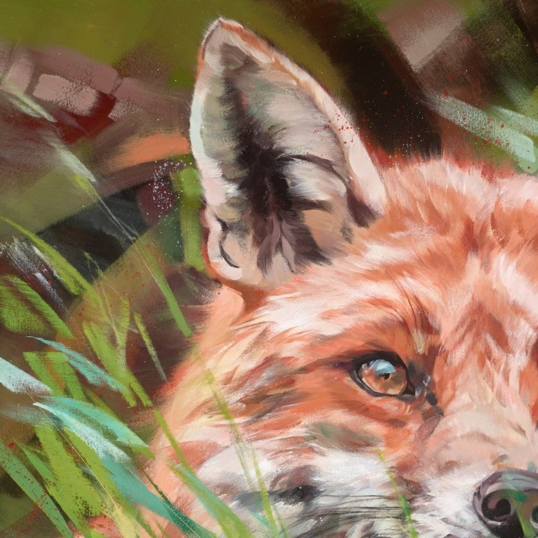 Fox In Long Grass