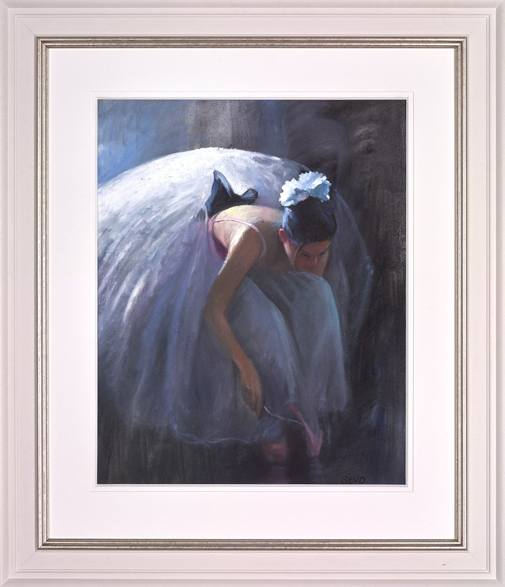 The Pink Ballet Shoes