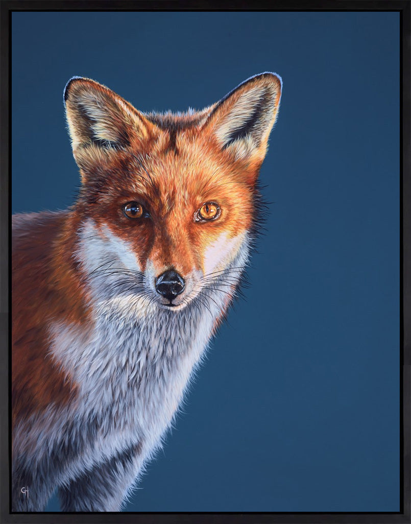 Glaring Fox