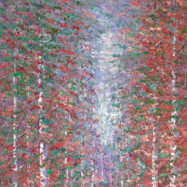 Woodland Escape VI