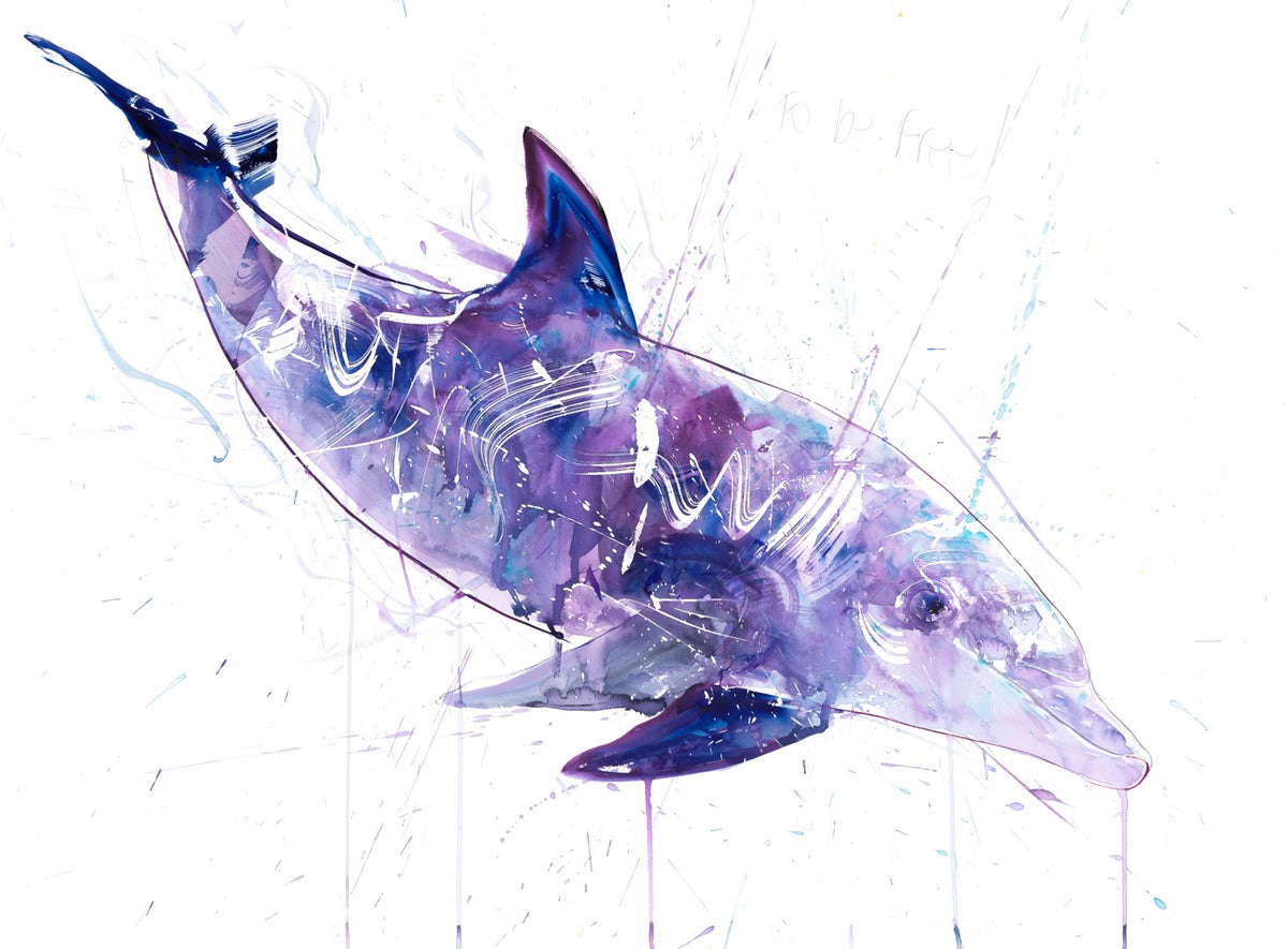 Dolphin I