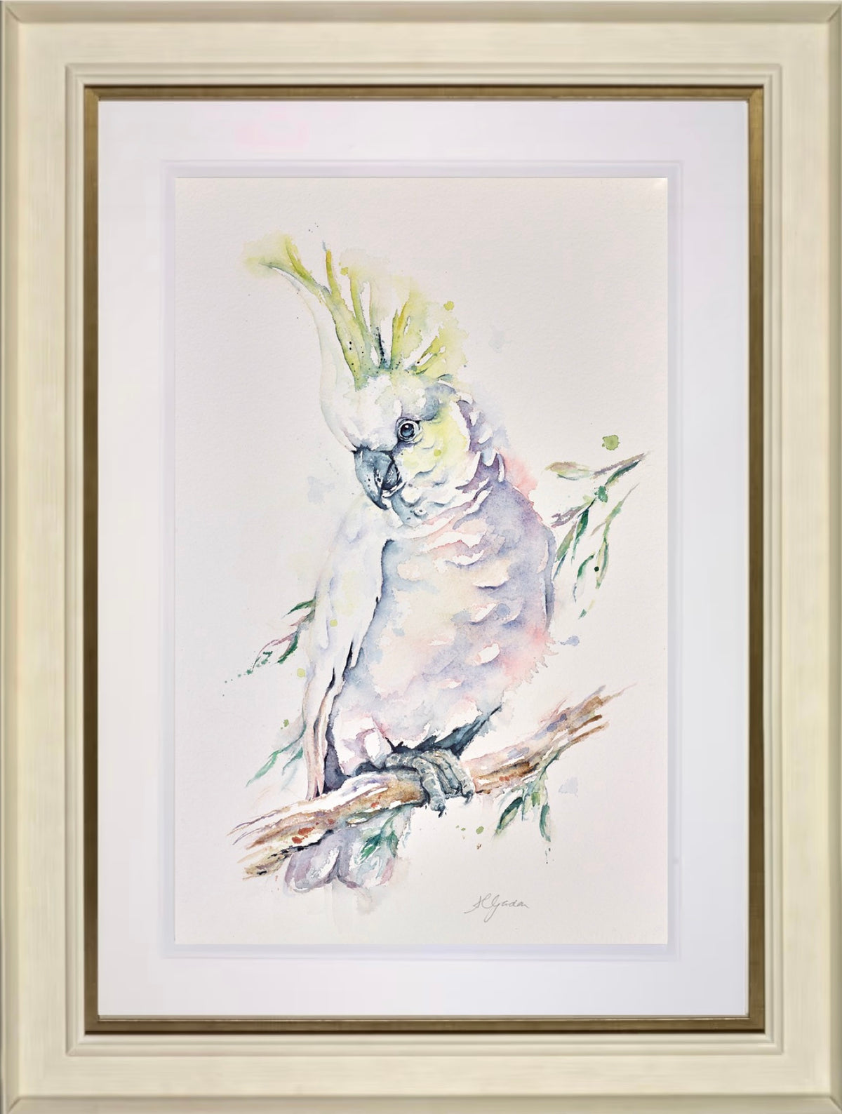 Sulphur Crested Cockatoo