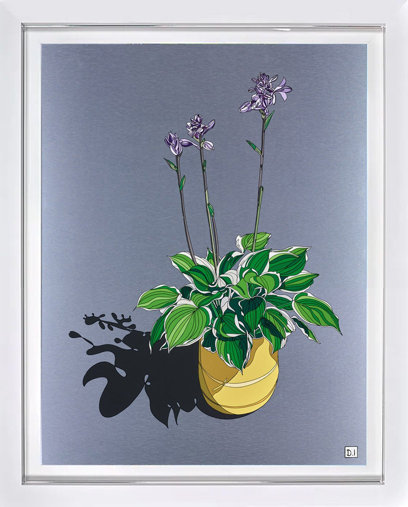 Hosta