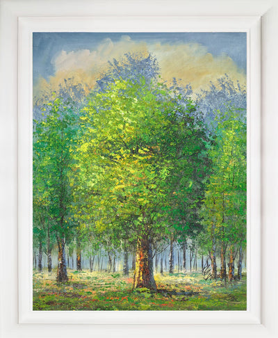 Summer Woodland