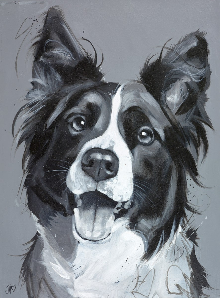 Diamonds Are A Collie's Best Friend