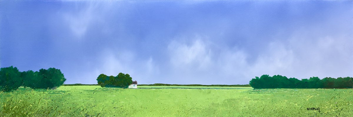 Between Fields & Sky