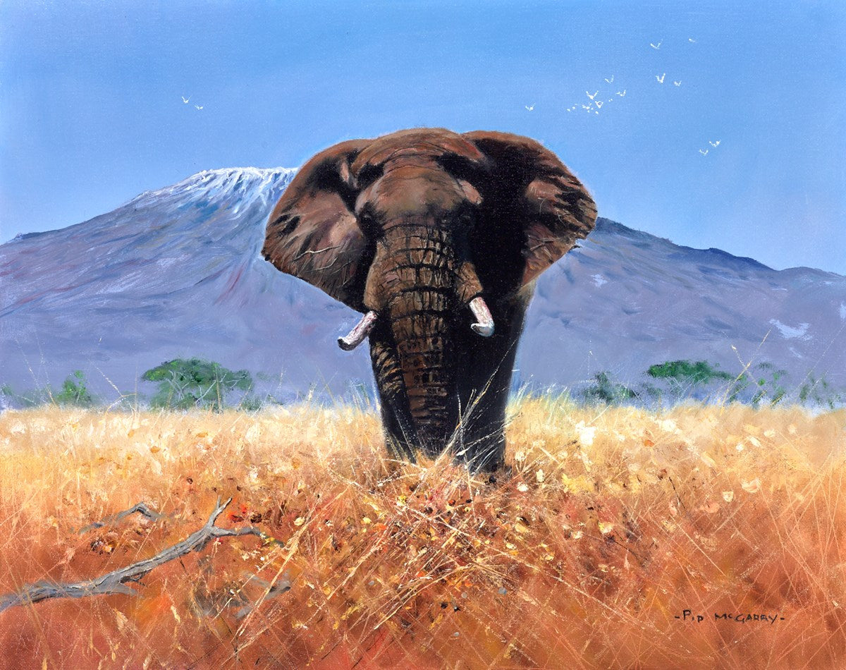 Kilimanjaro Elephant