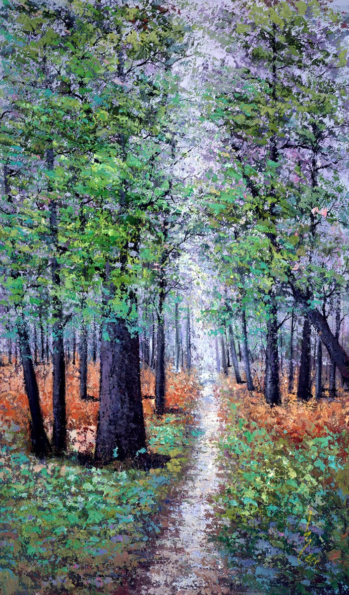 A Colourful Forest