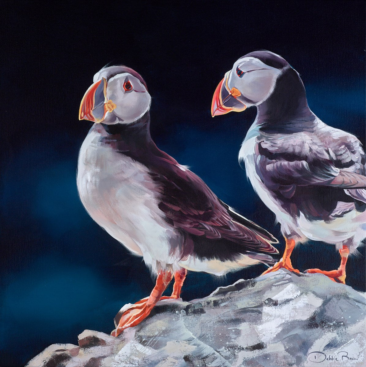 A Pair of Puffins