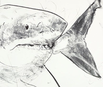 Apex Study II (Detail1)