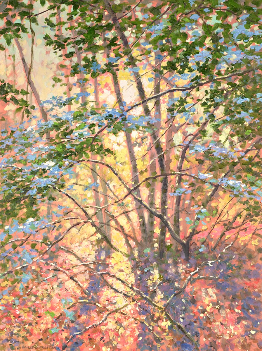 Morning Sunlight (Wood)