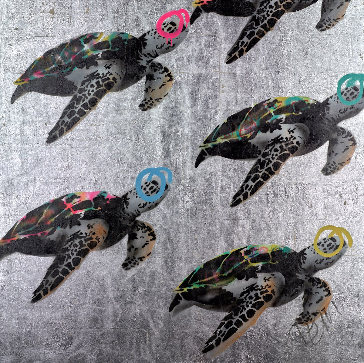 Colourful Turtles