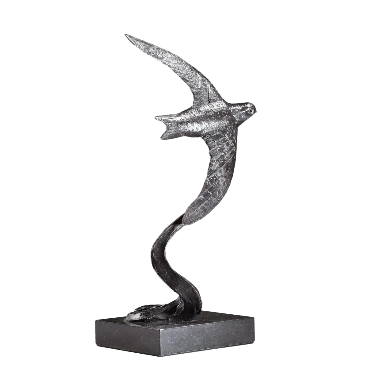 Swift Swooping - 2019