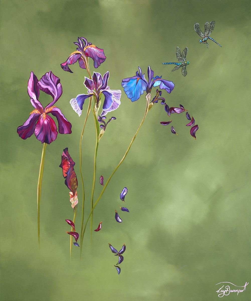 Emperors and Irises