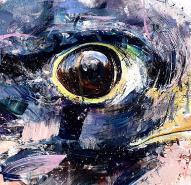 Peregrine Falcon (Detail1)