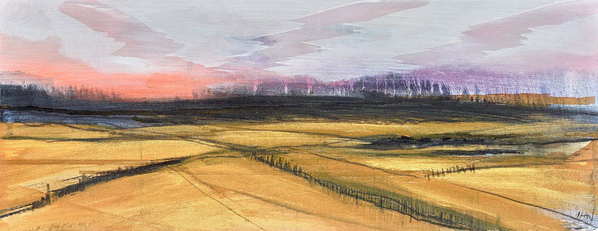 Fields of Hope