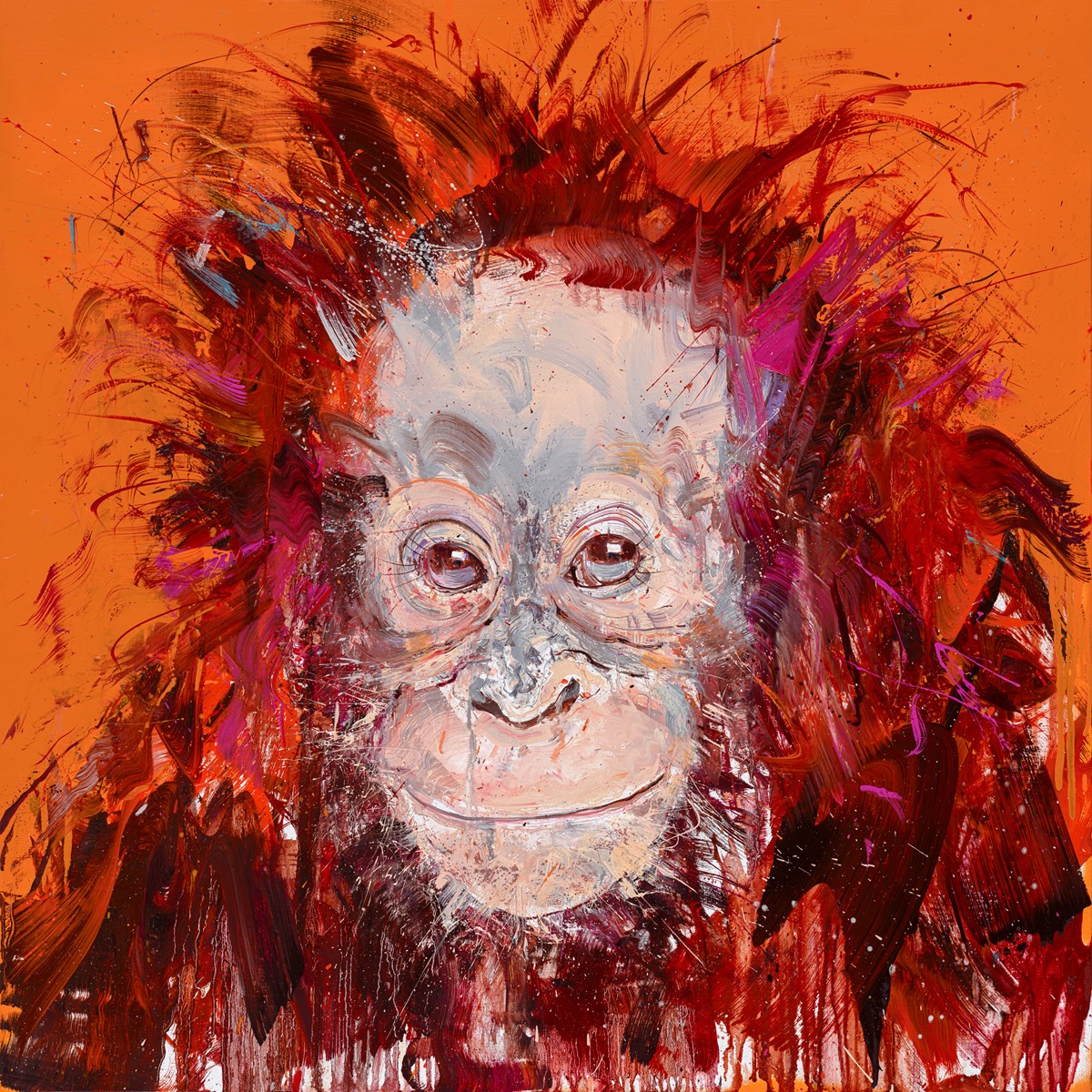 Young Orangutan II