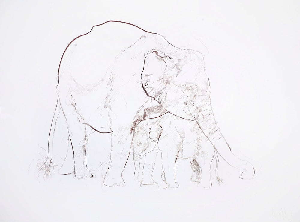 Elephant and Calf III
