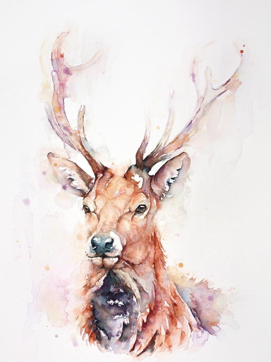 Calm Majesty - Red Stag