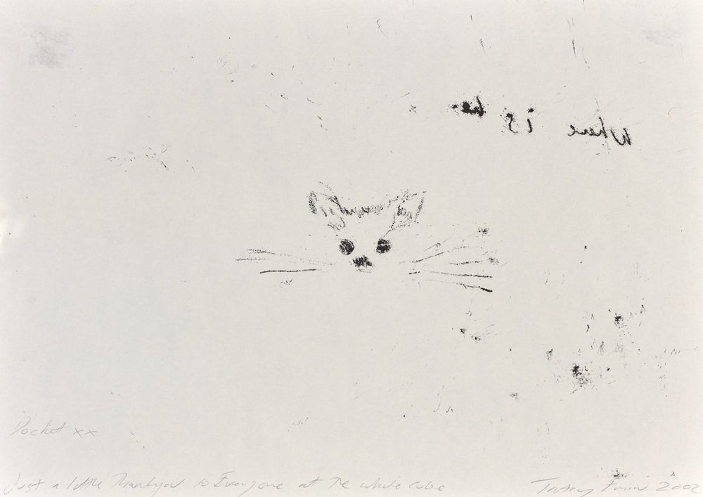 Docket the Cat (Monotype) (Detail1)