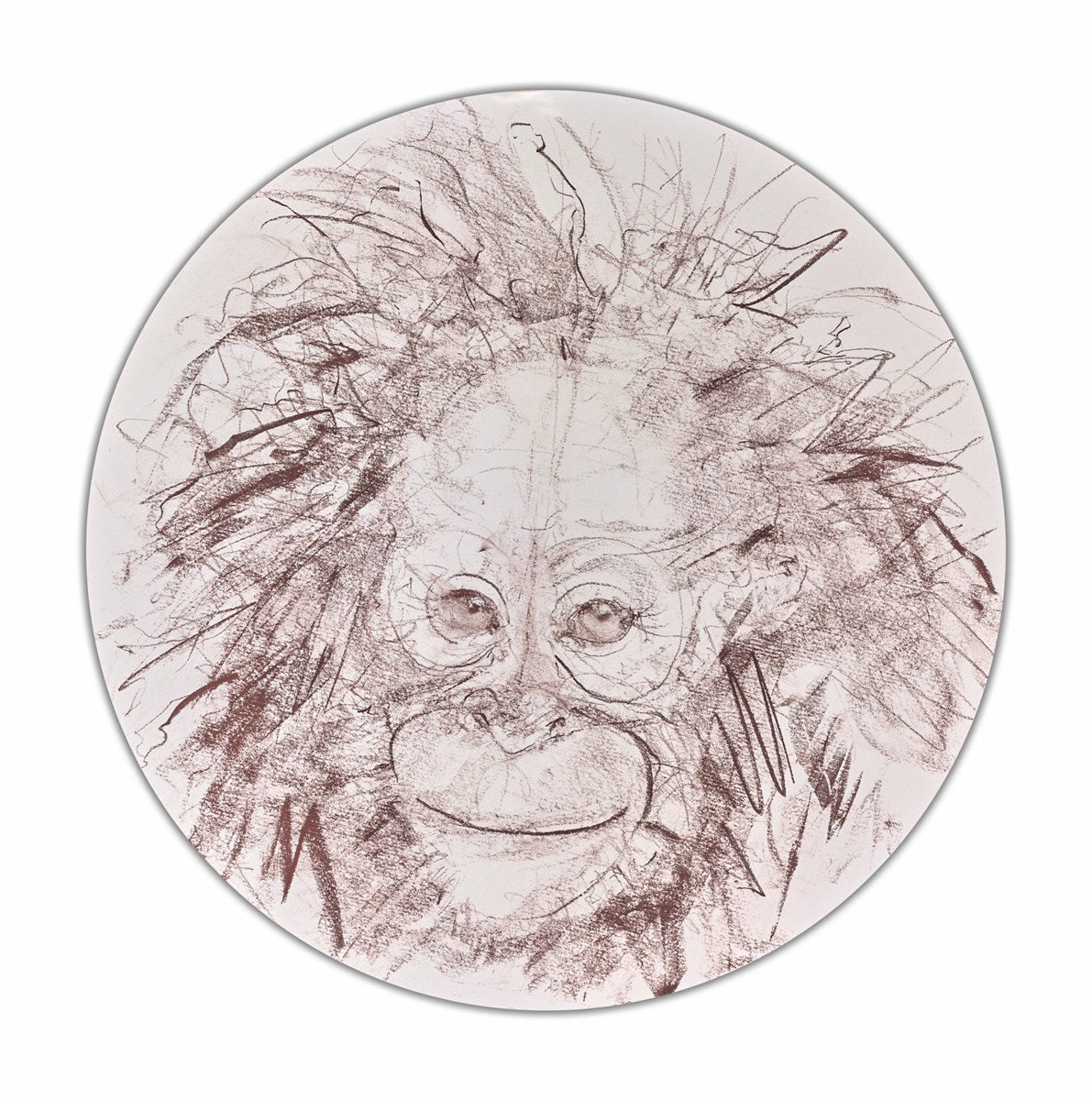 Baby Orangutan Study VI