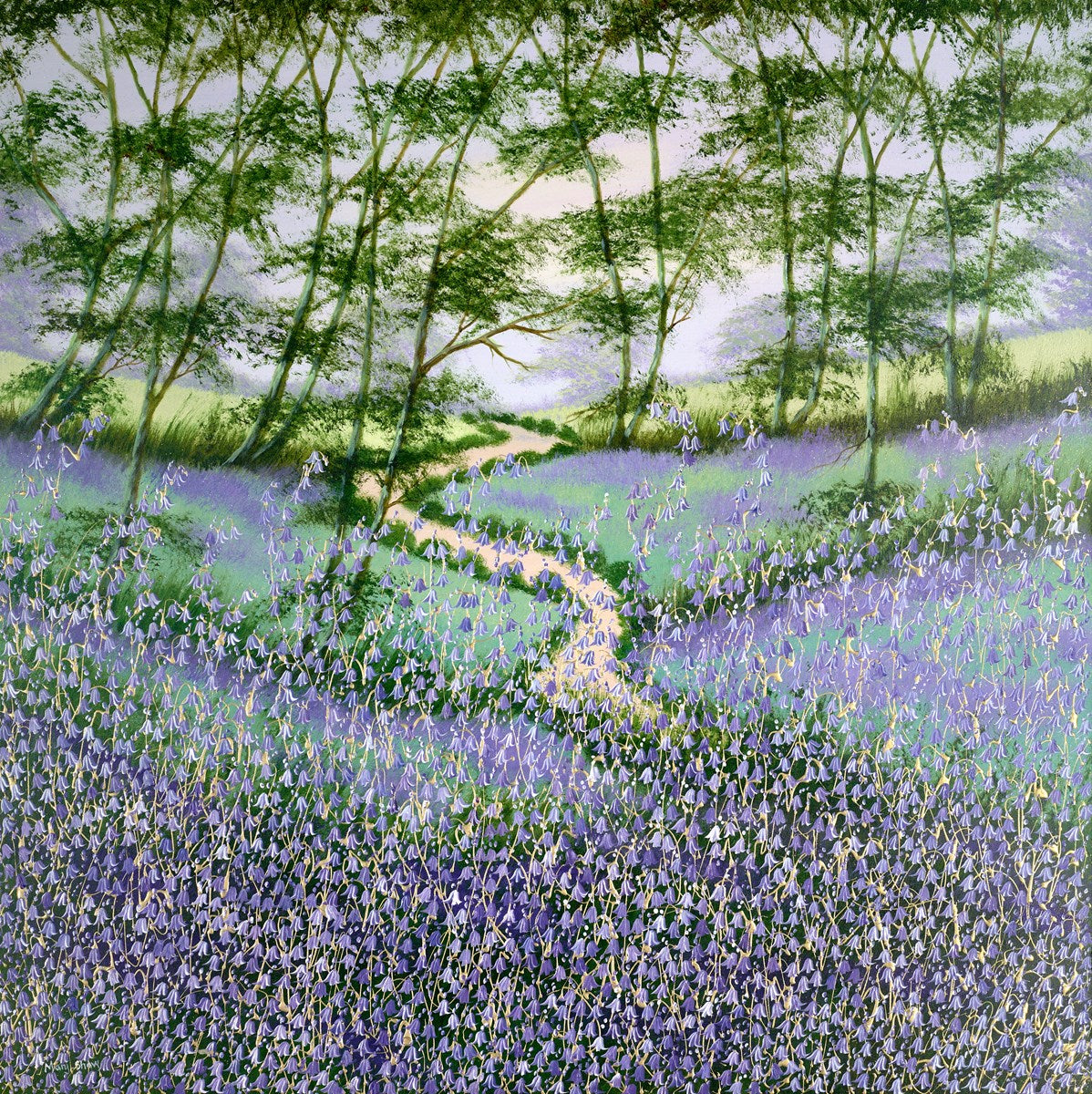 Bluebells and Woodland V