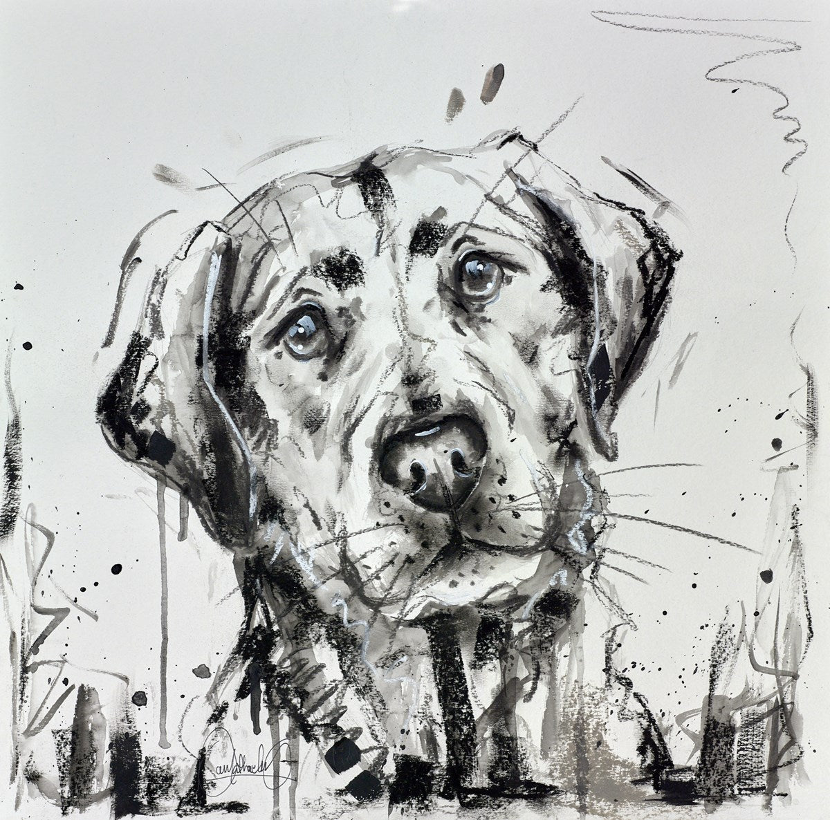 Labrador Blues