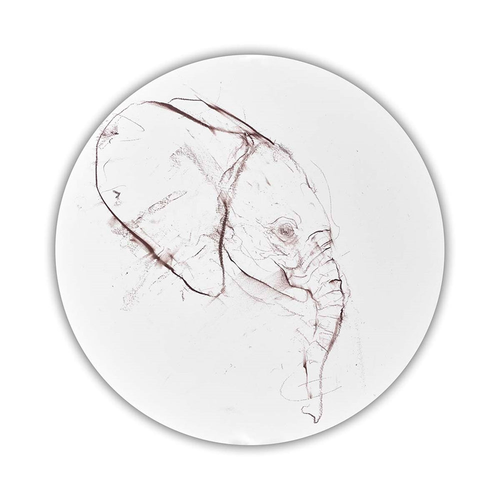 Elephant Study V
