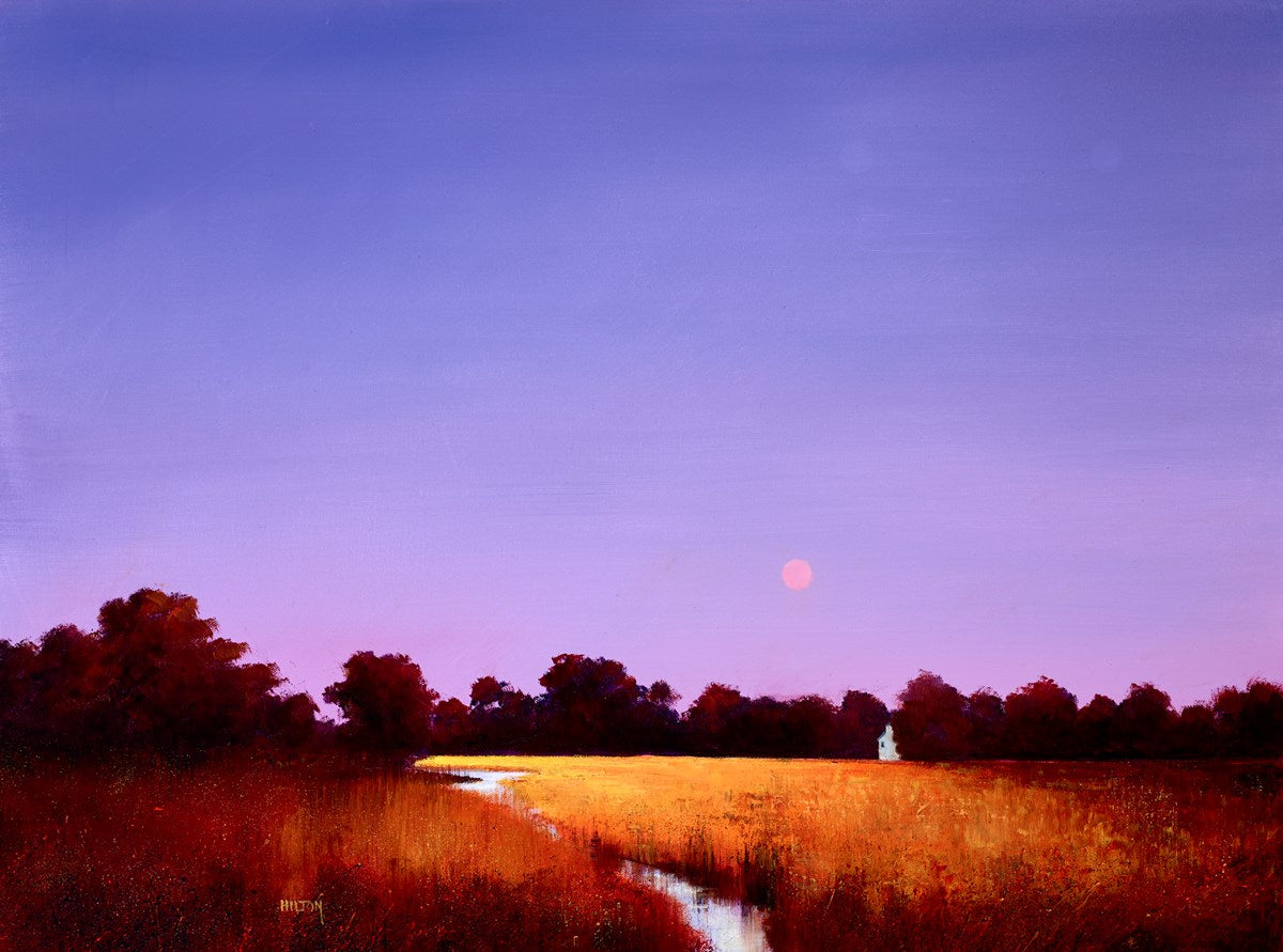 Whispers of Evening Sun