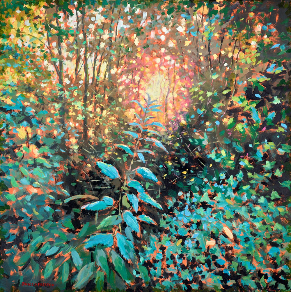 First Light