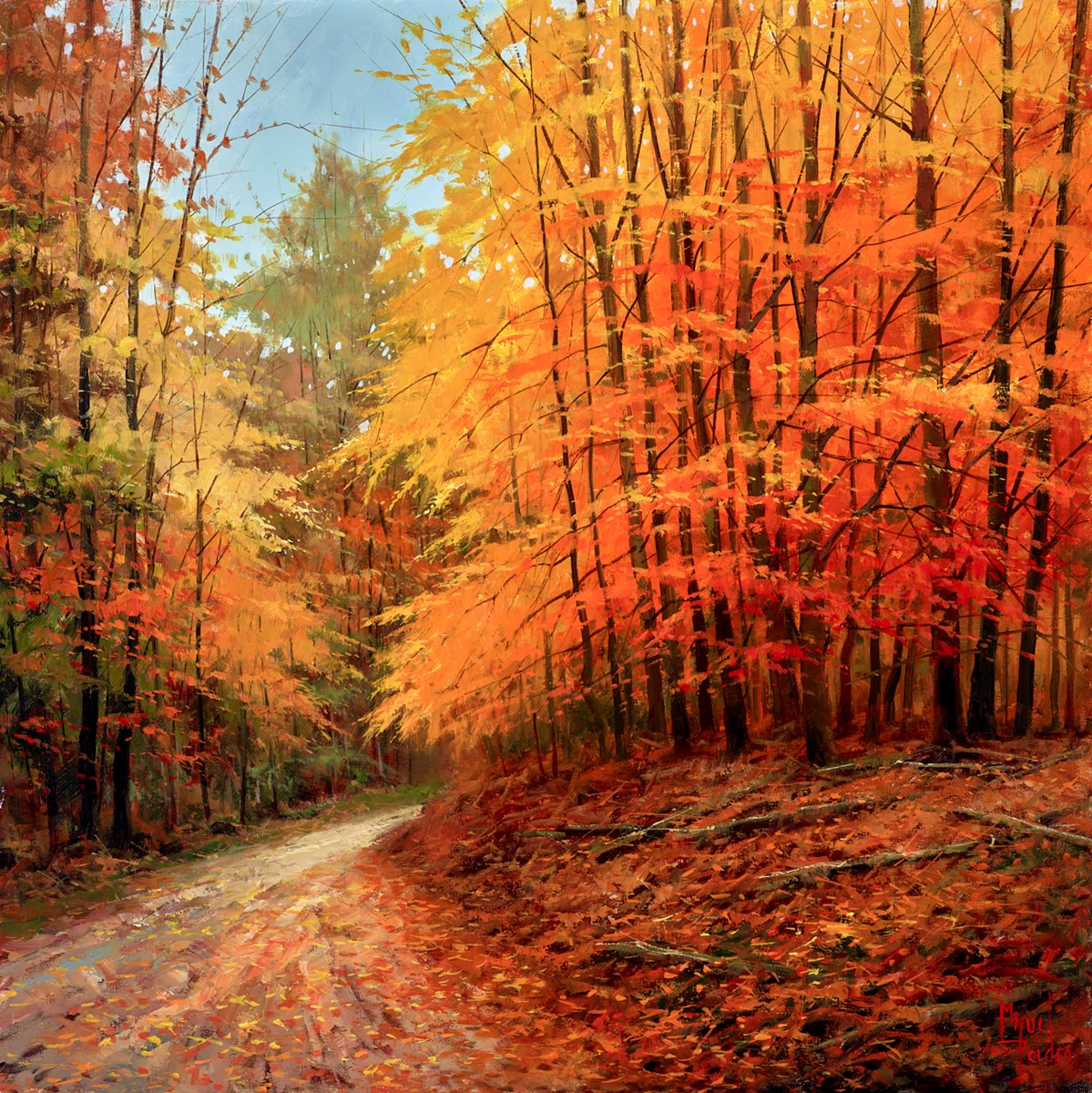 Hayedo en otoño