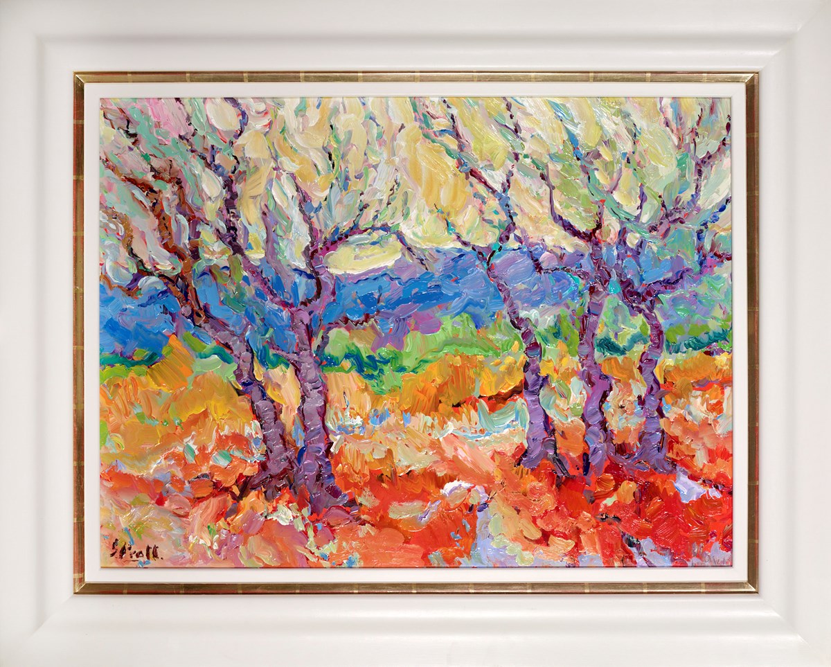 Saint Romaine Olive Trees