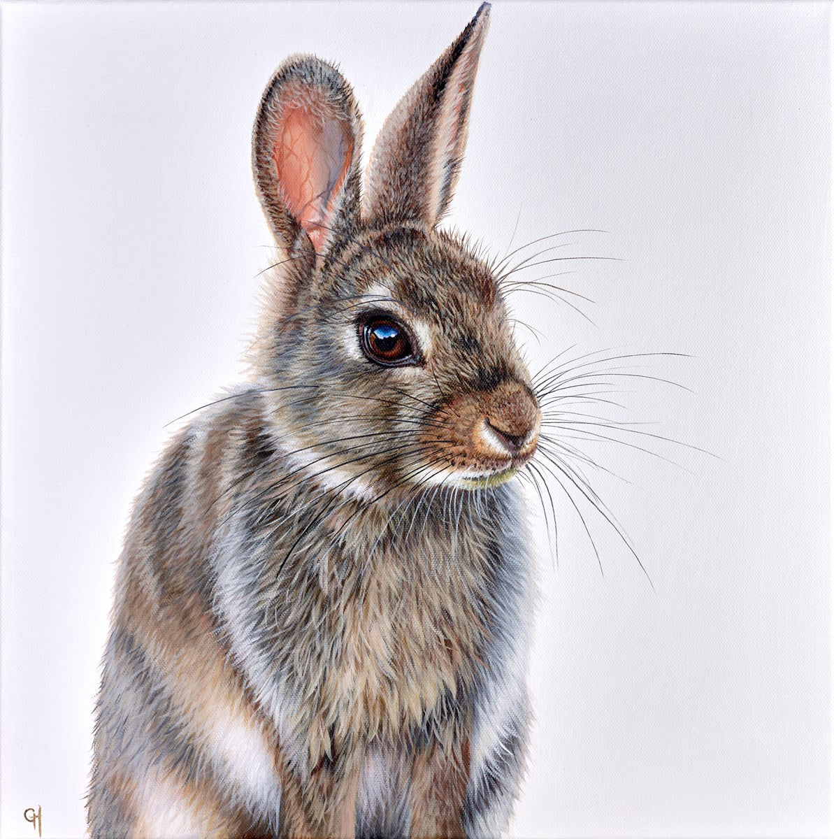Hare