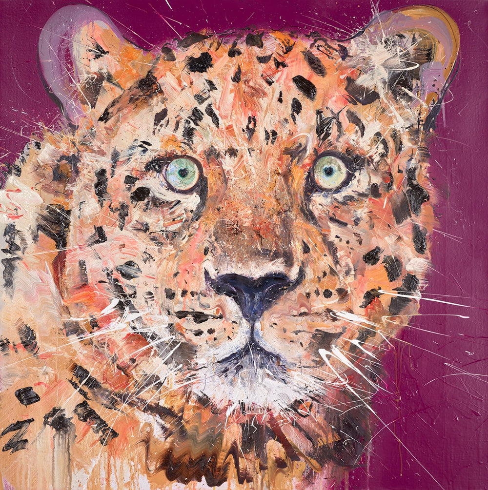 Amur Leopard