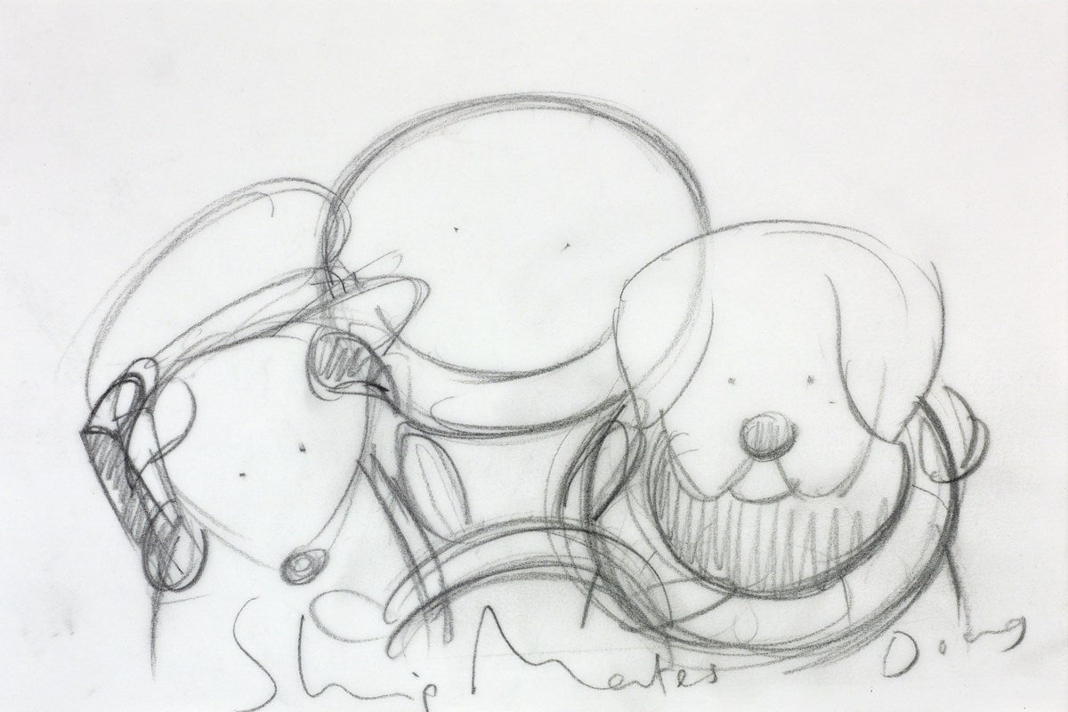 Shipmates (Study IV)