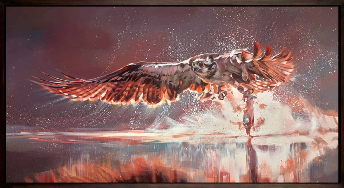 River Hawk, Osprey in Flight (Framed)