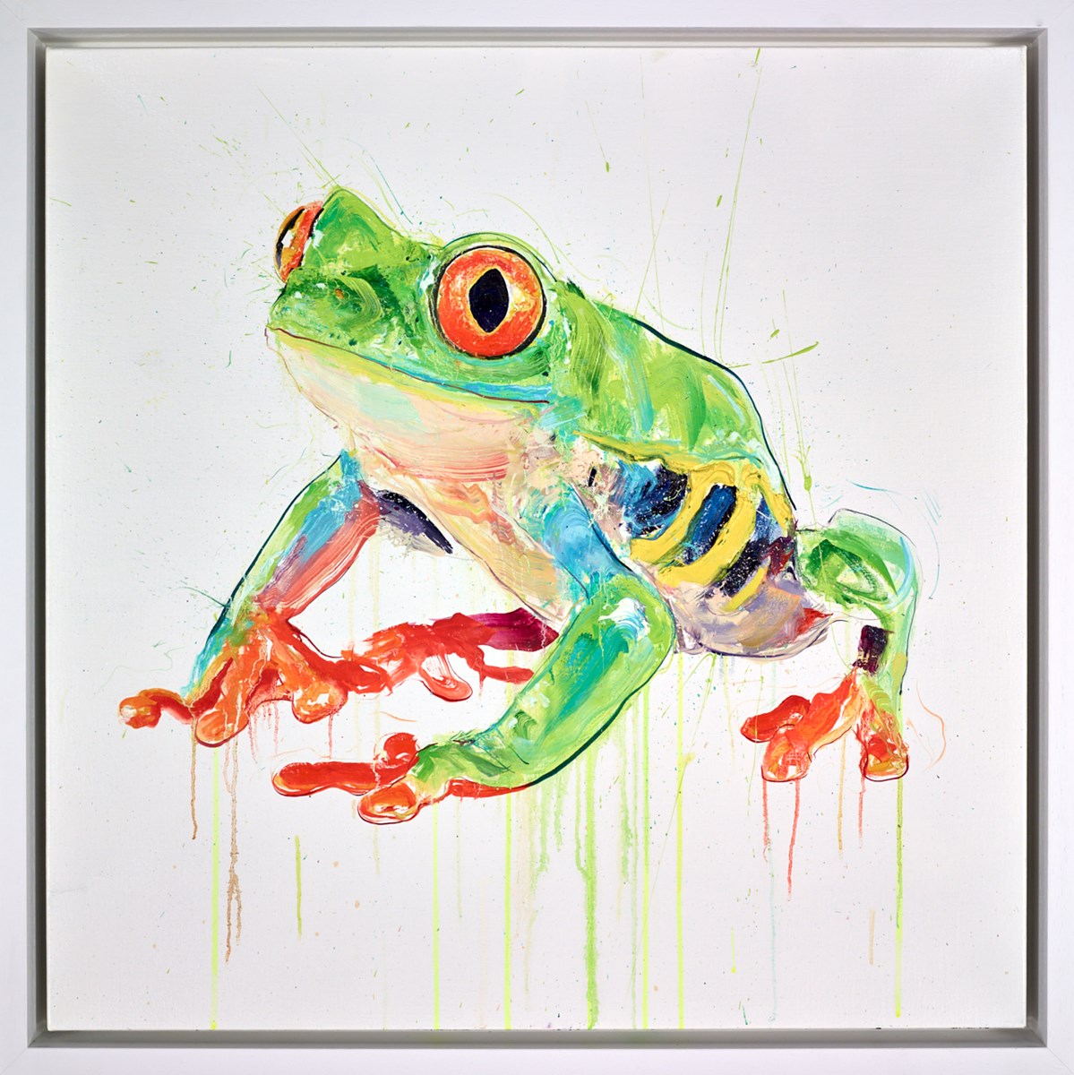 Tree Frog