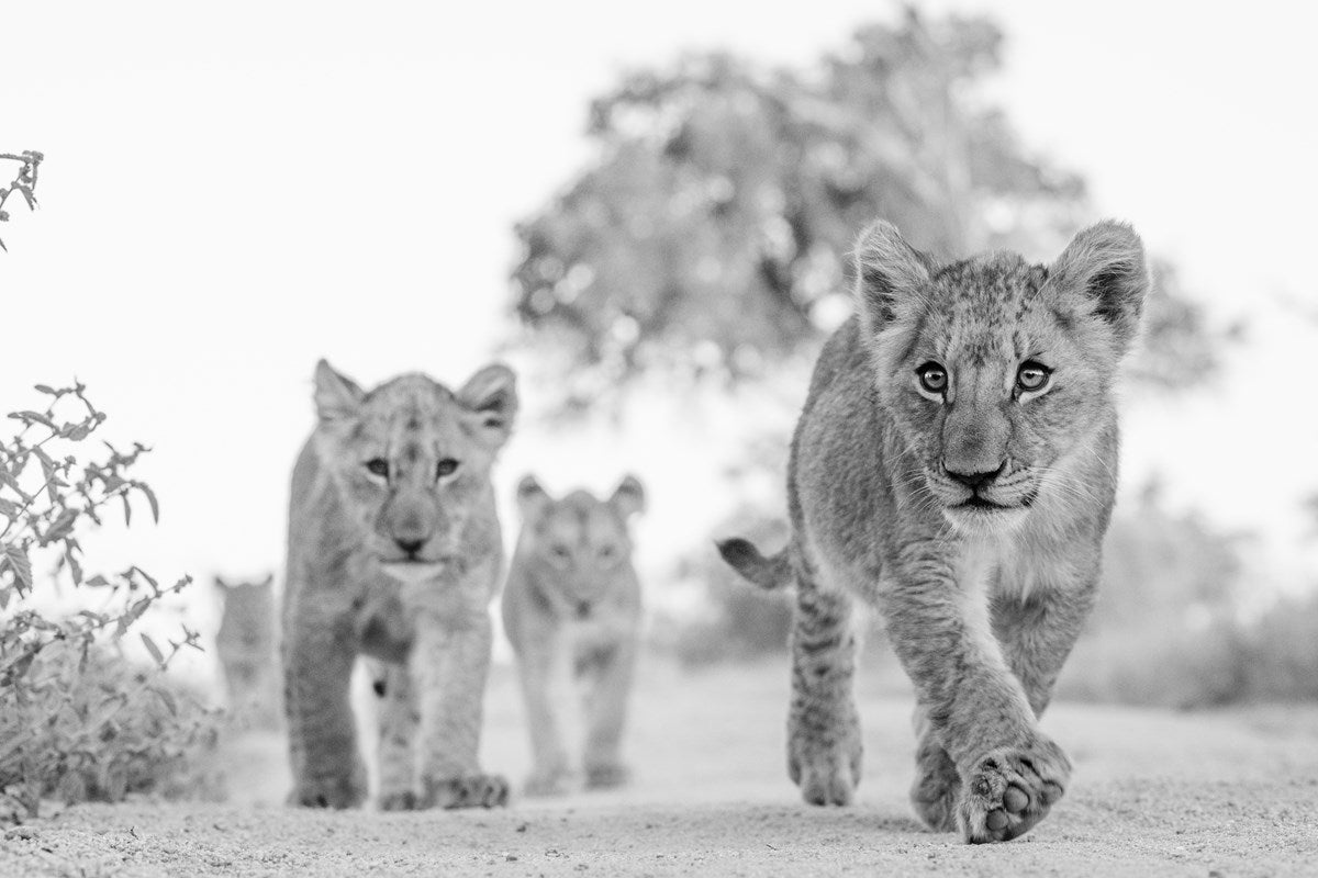 Next Generation