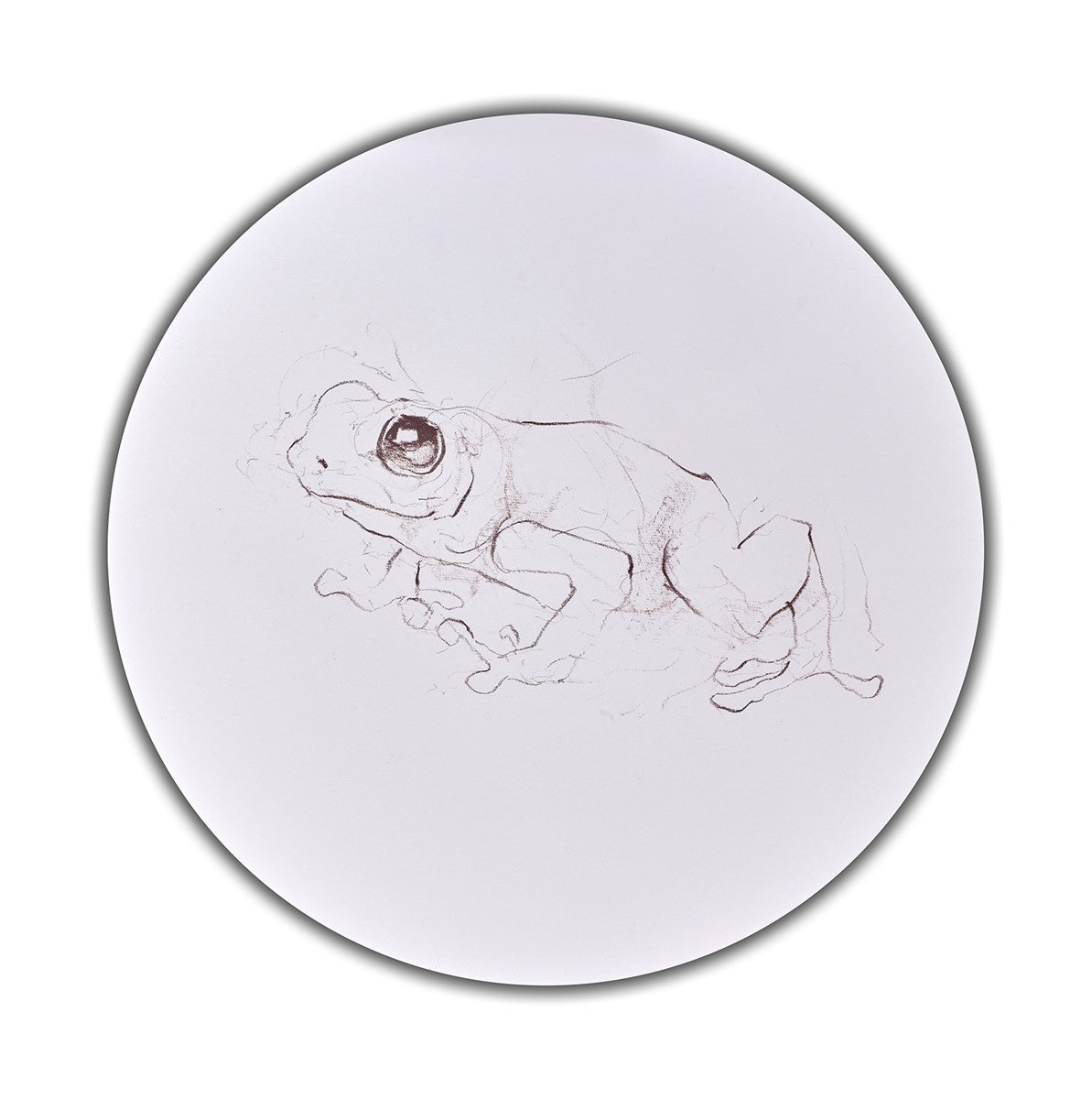 Tree Frog Study I
