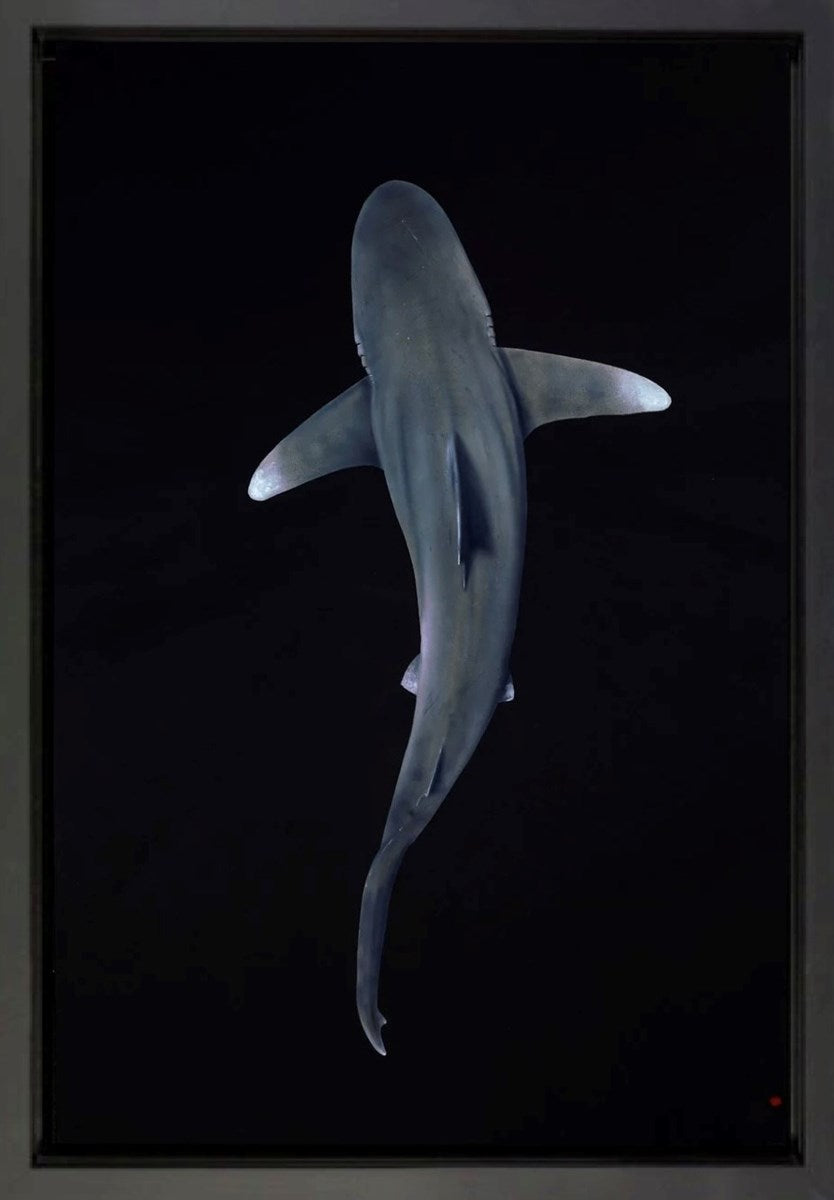 Depth (Framed)