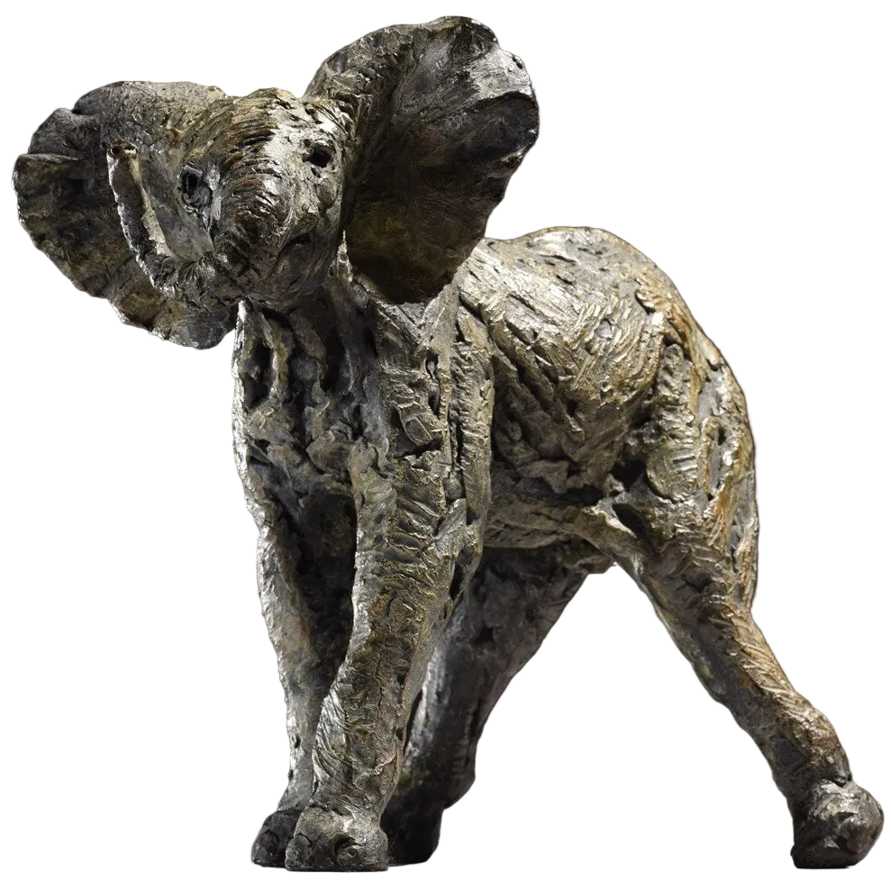 Elephant Calf Bashful - 2019