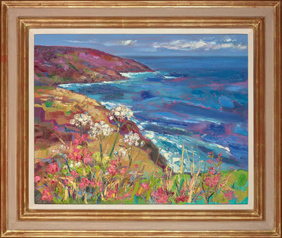 Campion and Cow Parsley , near Botallack