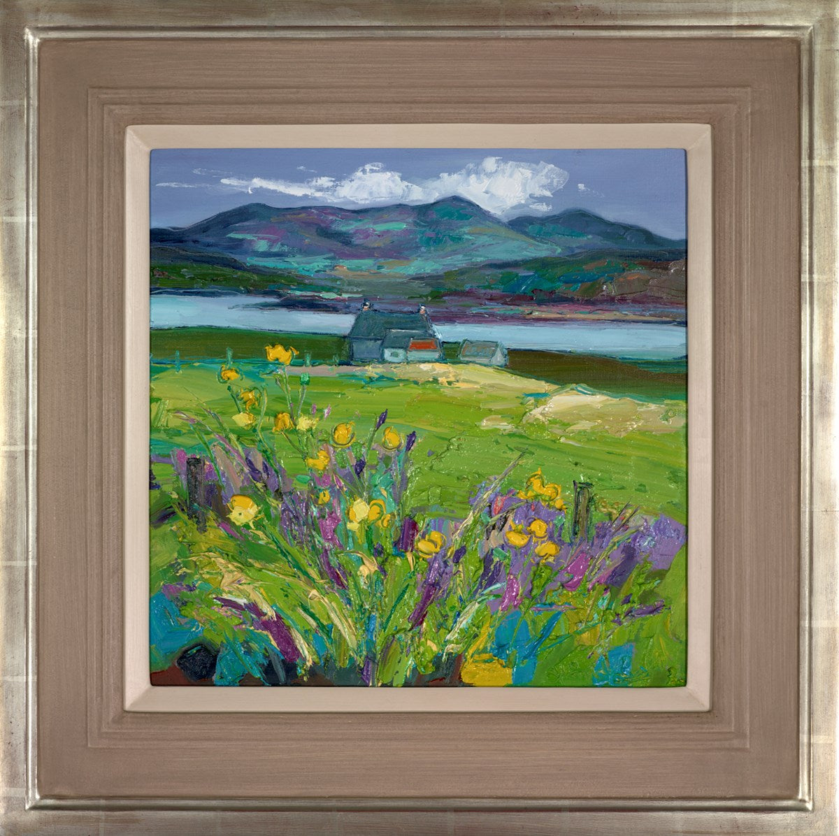 Buttercups, Isle of Lewis