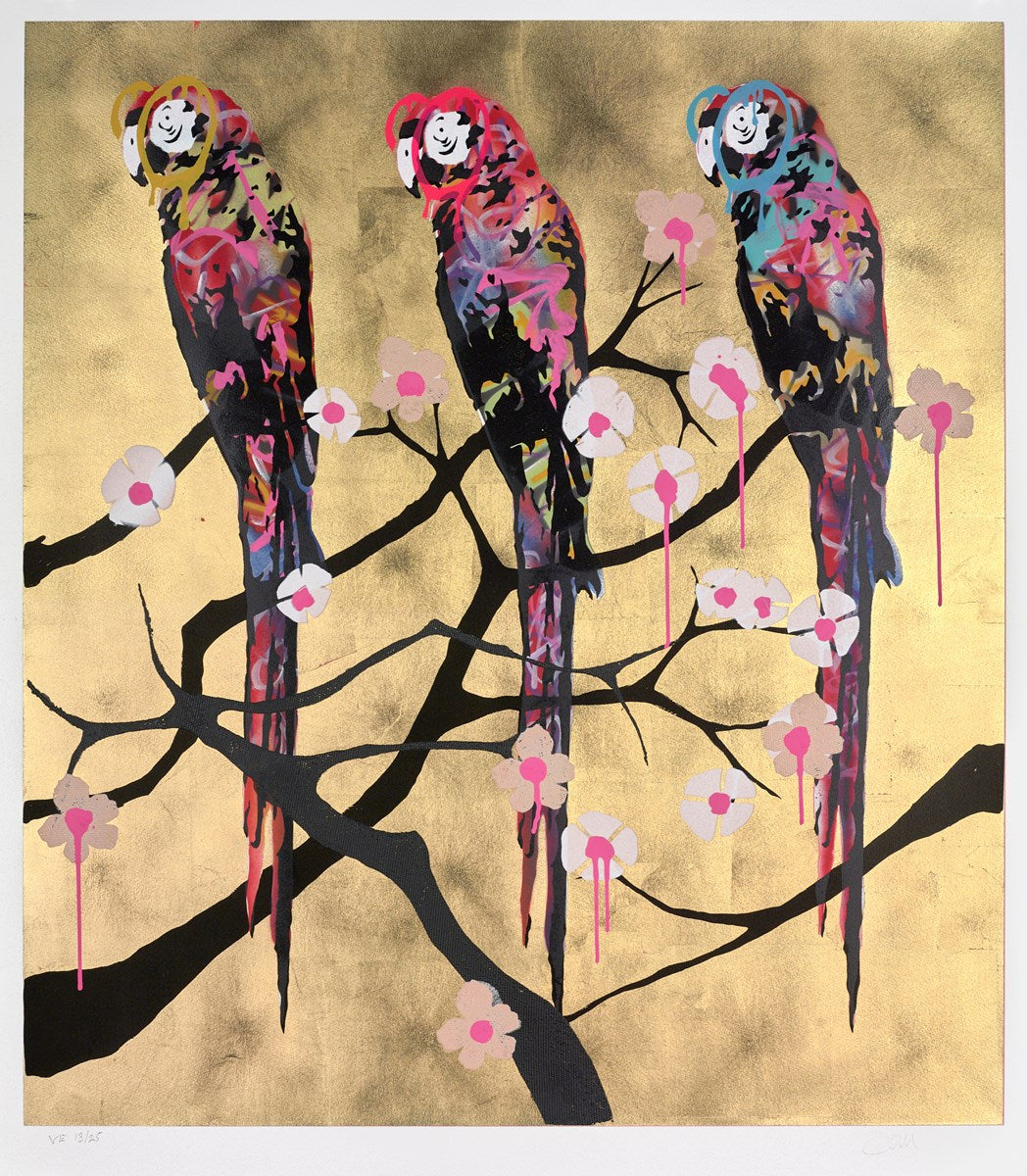 Polly Folly 13/25